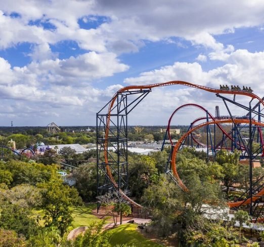 busch+gardens