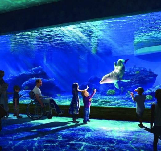 clearwater+aquarium